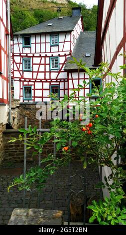 Graziose case a graticcio nel piccolo villaggio di Monreal. Fachwerkhäuser im schönen Dorf Monreal, Eifel, Germania. Foto Stock