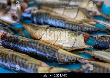 Pezzi di sgombro affumicato giacciono su un nastro trasportatore. Fabbrica di cibo di pesce. Foto Stock