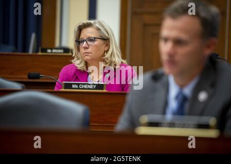 Il Rappresentante degli Stati Uniti Liz Cheney (Repubblicano del Wyoming) ascolta il panel durante un’audizione della House Armed Services Committee ‘The Fiscal Year 2022 National Defense Authorization Budget Request for the Department of the Army’ (anno fiscale 2013 – richiesta di autorizzazione alla difesa nazionale per il Dipartimento dell’Esercito) nella Rayburn House Office Building di Washington, DC, USA, martedì 29 2021. Foto di Rod Lamkey/CNP/ABACAPRESS.COM Foto Stock