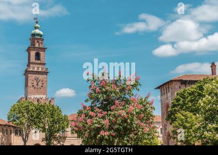 Vigevano, Italia: La torre dell'orologio e il castello. Vegetazione colorata in primo piano. Spazio di copia Foto Stock