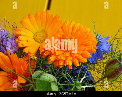 bouquet con fiori dell'orto, su sfondo giallo Foto Stock