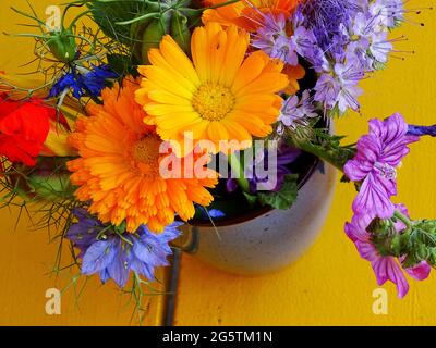 bouquet con fiori dell'orto, su sfondo giallo Foto Stock