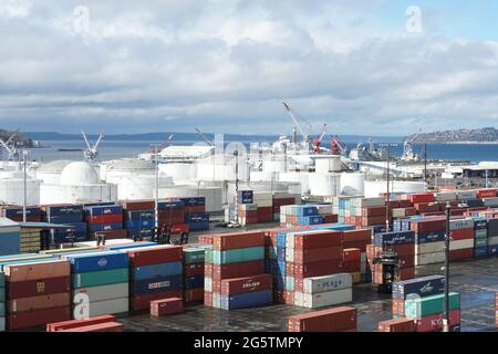 Terminal dei container nel porto di Seattle, Washington, USA con vasche bianche di forma rotonda, riviste ed edifici di stoccaggio in background sotto nuvole di cumulo. Foto Stock