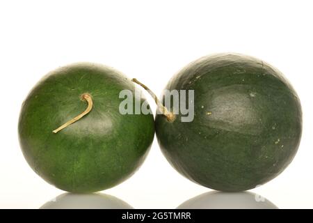 Due cocomeri organici di colore verde scuro da vicino, su sfondo bianco. Foto Stock