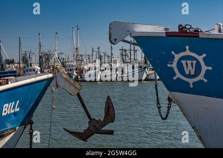 Barche di gamberi al porto di Palacios, Texas, Stati Uniti Foto Stock