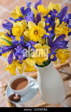 Bouquet misto di iridi e narcisi blu vividi in un vaso accanto a una tazza di tè su un tavolino da caffè in un ambiente domestico Foto Stock