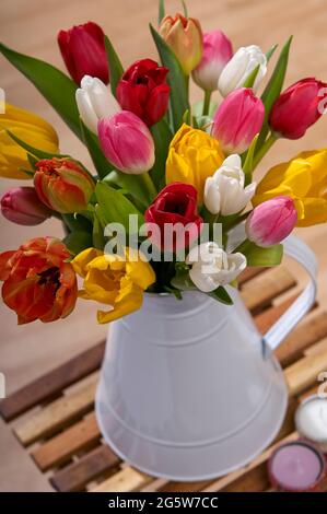 Variopinto assortimento di venti tulipani o Tulipa di Amsterdam in un vaso in metallo bianco su un piccolo tavolino in un ambiente domestico Foto Stock