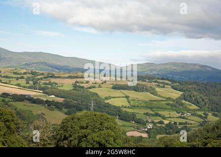Estate mattina la Conwy Valley vista dalle colline sopra il villaggio di Eglwysbach Conwy Snowdonia Galles del Nord Foto Stock