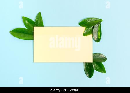 Tema natura Presentazione idee disegni, visualizzazione di materiali rinnovabili, creazione di prodotti sostenibili, materiali organici, progettazione giardinaggio pianificazione Foto Stock