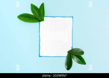 Tema natura Presentazione idee disegni, visualizzazione di materiali rinnovabili, creazione di prodotti sostenibili, materiali organici, progettazione giardinaggio pianificazione Foto Stock