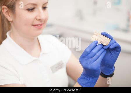 Ripresa tagliata di un dentista femminile che tiene dentista modello di dentiera Foto Stock