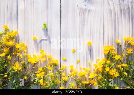 Fiori gialli piccoli, erba, su tavola bianca di legno, tavolo Foto Stock