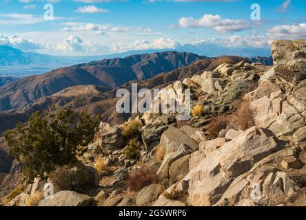 Vista al Joshua Tree National Park in California Foto Stock