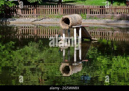 Un luogo di nidificazione per anatre costruito nel lago nella città giardino, Sofia, Bulgaria Foto Stock