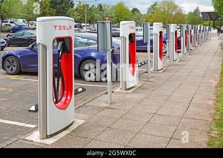 Auto elettriche a cambiamento climatico collegate fila di Tesla stalls parcheggio Welcome Break auto impianto M42 stazione di servizio autostrada Birmingham UK Foto Stock