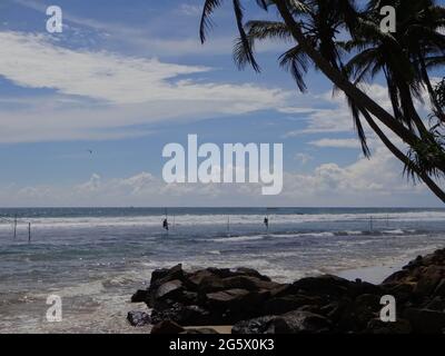 Pescatori di stilt vicino alla città di Galle, Sri Lanka. Foto Stock