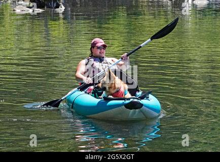 Una donna in kayak con il suo cane da pastore tedesco in una calda giornata estiva al lago Suttle nelle Cascades dell'Oregon centrale. Foto Stock