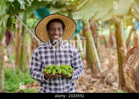 Contadino nero sorridente con banane fresche in piantagione Foto Stock