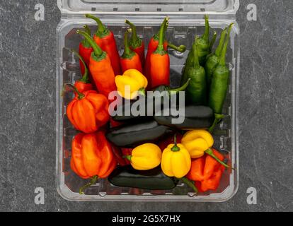 Vista in pianta di peperoncini assortiti in un cartone di plastica trasparente, su sfondo grigio. Foto Stock