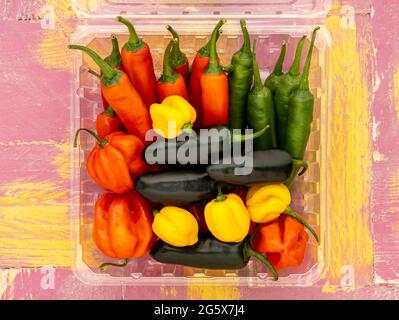 Vista in pianta di peperoncini assortiti in un cartone di plastica trasparente, su uno sfondo rustico di legno rosa e giallo. Foto Stock