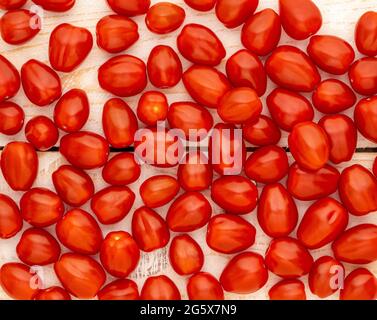 Vista in pianta di piccoli pomodori prugne su uno sfondo bianco e rustico Foto Stock