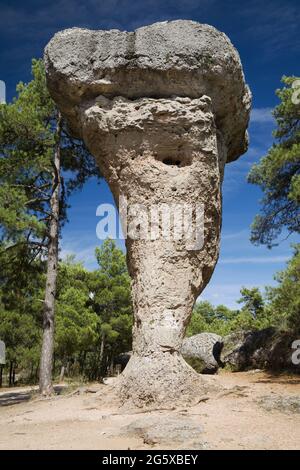 Tormo Alto nel sito geologico della Città incantata a Cuenca, Spagna. Foto Stock