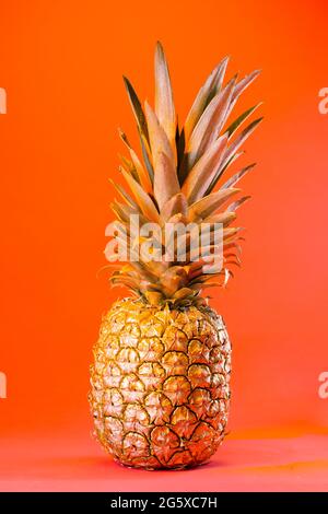 Sfondo tropicale estivo. Ananas d'oro su sfondo arancione. Concetto di cibo. Minimo. Foto Stock
