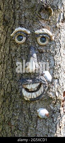 Viso umano pittoresco e sorridente scolpito in un tronco di albero Foto Stock