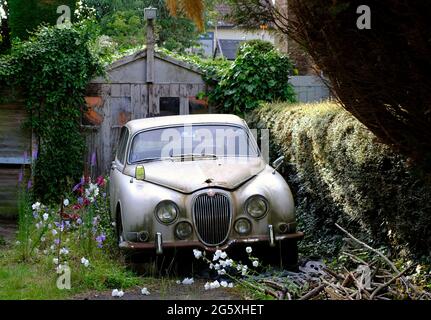 Silbey, Leicestershire, Regno Unito. 30 giugno 2021. Una Jaguar 3.4 S-Type in marcia si trova su un vialetto di accesso. La berlina Jaguar S-Type è stata prodotta da Jaguar Cars i. Foto Stock