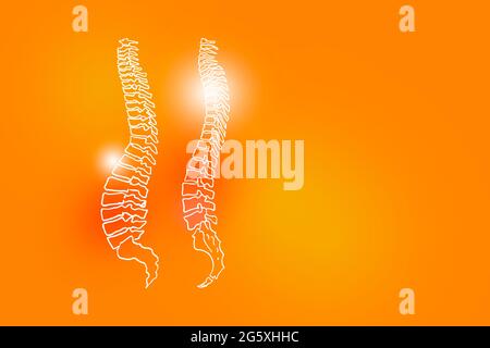 Illustrazione Handrawn della colonna umana su sfondo arancione positivo. Set medico-scientifico con i principali organi umani con spazio di copia vuoto per testo o informazioni Foto Stock