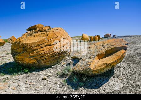 Formazioni rocciose sferoidali, Area Naturale di Coulee della roccia Rossa, Alberta, Canada Foto Stock