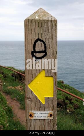 Un indicatore di percorso acorno, il simbolo del South West Coastal Path, vicino a Coleton Fishacre, Kingswear nel distretto di South Hams nel Devon. Foto Stock