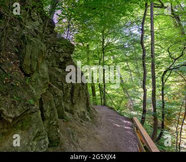 Percorso attraverso la cosiddetta gola di Hagenbach nella valle del danubio vicino a Saint Andrae-Woerdern, Austria Foto Stock