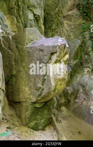 Rocce di arenaria nella cosiddetta gola di Hagenbach nella valle del Danubio vicino a Saint Andrae-Woerdern, Austria Foto Stock