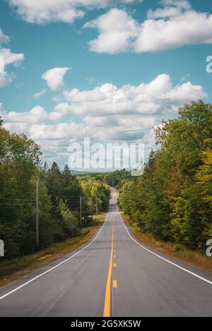 A road with trees on the side, Maine Foto Stock