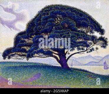 Paul Signac Artwork - The Bonaventure Pine - 1893 Foto Stock