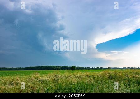 Ripresa di una maestosa nube tempesta Cumulonimbus con grande incudine Foto Stock