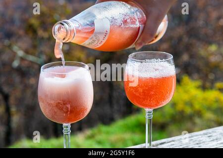 Roseland, USA - 26 ottobre 2020: Closeup di succo di vetro bottiglia di bevanda italiana sangue gassato arancia pompelmo soda immagazzinato a Whole Foods Marke Foto Stock