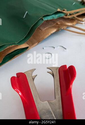 Still Life of Staples and a Staple Remover, USA Foto Stock