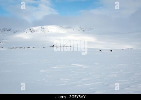 Montagne intorno Kungsleden sentiero coperto di neve all'alba nel mese di aprile 2021, Lapponia, Svezia Foto Stock