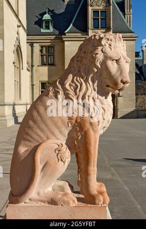 Una statua del leone si trova all'esterno dell'ingresso frontale della Biltmore House, costruita da George Vanderbilt. Foto Stock