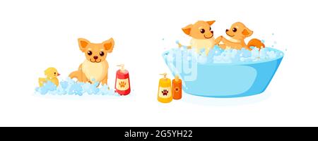 Cura del cane in una vasca da bagno con anatra di gomma e shampoo. Set con chihuahua in schiuma di sapone isolato su sfondo bianco. Illustrazione vettoriale in cute Illustrazione Vettoriale