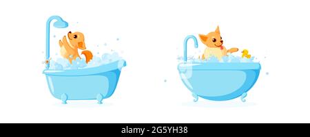 Cura del cane in una vasca da bagno con anatra di gomma. Set con chihuahua in schiuma di sapone isolato su sfondo bianco. Illustrazione vettoriale in simpatico stile cartoon Illustrazione Vettoriale