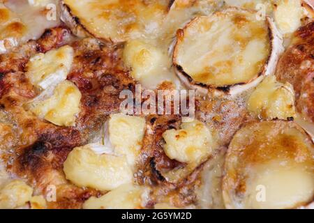 Primo piano di pizza con formaggio di capra. Macro shot di prodotti deliziosi. Foto Stock