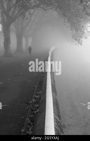 Nebbia sulle rive del Tamigi a Wandsworth Park, Putney, Londra, Regno Unito Foto Stock