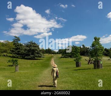 Donna elegantemente vestita in lungo abito estivo che cammina su Richmond Hill, Richmond-upon-Thames, Surrey, UK, in caldo giorno estivo sotto il cielo blu nuvoloso Foto Stock