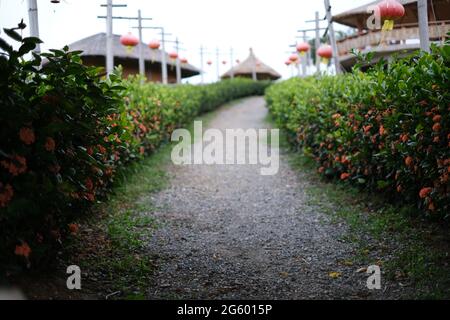 Passerella in ghiaia in un palazzo in stile cinese, con recinzione verde e lanterne rosse vecchio stile Foto Stock