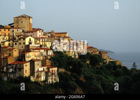 Piccolo paese di Pisciotta arroccato tra il mare e gli ulivi. La cultivar dell'ulivo Pisciottana deve il suo nome alla cittadina di Pisciotta sulla costa del Cilento. La cultivar è la più grande tra gli ulivi, raggiungendo i 20 metri di altezza. Nel comune di Pisciotta ci sono centinaia di ulivi millenari, che devono essere conservati e protetti, che devono essere pubblicizzati e promossi, perché raccontano la storia di molte generazioni passate e portano una ricchezza paesaggistica ed economica infinita. Foto Stock