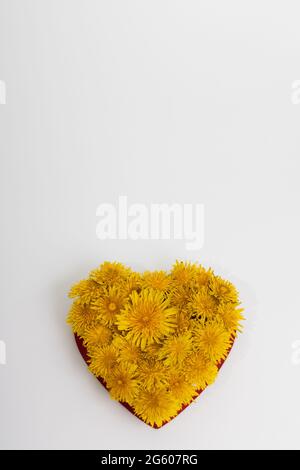 Fiori di dente di leone in una forma di cuore. Foto Stock