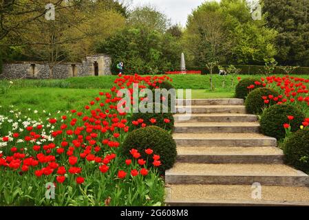 I giardini di Arundel Castle, Arundel, West Sussex, durante l'annuale Festival dei tulipani Foto Stock